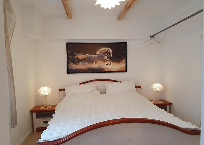 Hochwertige Lejlighed